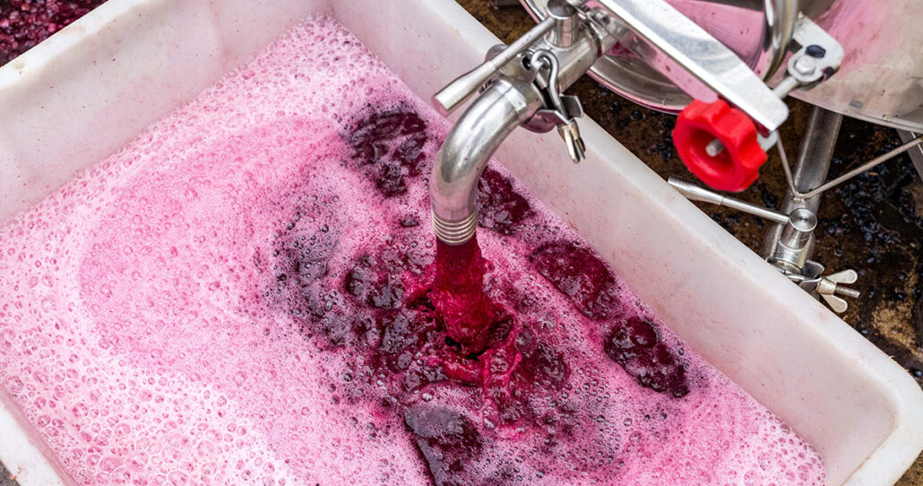 Casetta 1^ Settembre 24 - Vendemmia-33